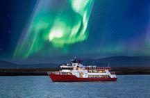 Winter Whale Watching & Northern Lights Cruise | Combo from Reykjavik