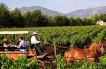 Colchagua Valley Viñas Viu Manet and Montes Alfha