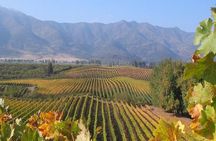 Colchagua Valley Viñas Viu Manet and Montes Alfha