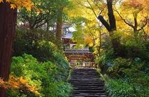 Kamakura Zen Temples and Gardens Private Trip with Government-Licensed Guide