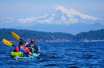 Kayaking through the San Juan Islands - 5-days, San Juan Island to Anacortes