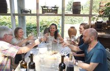 Full-Day Wine Tasting Tour to Kakheti with Lunch from Tbilisi