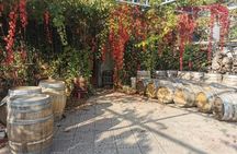 Lebanon Wine Tasting Tour From Beirut