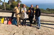 4 Hour Private Tangier Tour Include ride a camel