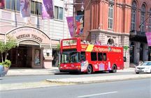 Double Decker Hop-On Hop-Off City Sightseeing Tour
