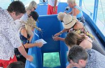 Glass Bottom Boat in Punta Cana