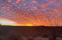 Sonoran Desert Jeep Tour at Sunset