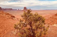 Monument Valley Backcountry Tour
