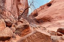 Monument Valley Backcountry Tour