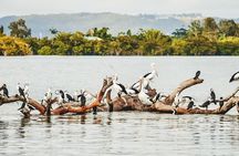 Sunset River Cruise near Byron Bay