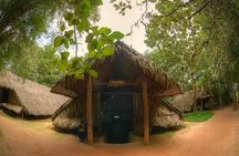 Private Half Day Cu Chi Ben Duoc Tunnels Tour 