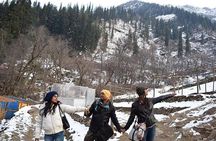 5-Day Kashmir Tour from Srinagar with Accommodation