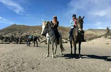 1 Day - Mount Bromo (5 spots) and Madakaripura waterfall // 23.00 - 18.00