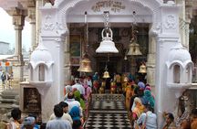 Historical Tour including Unesco Kangra fort & Rock cut temple from Dharamshala