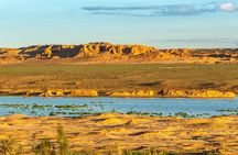 Gobi desert Mongolia for 8 days