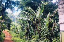 Materuni Waterfalls and Coffee Tour
