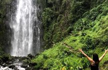 Materuni Waterfalls and Coffee Tour