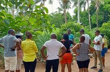 Zanzibar Spice Farm Tour