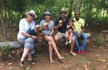 Zanzibar Spice Farm Tour