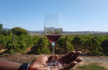 A Visit To Stellenbosch Franschoek Paarl Wineries From Cape Town Full Day