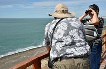 The Best of Peninsula Valdés in one day