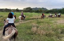 Jacó beach horseback riding experience 