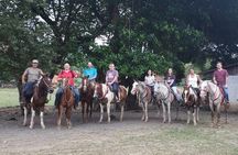 Jacó beach horseback riding experience 