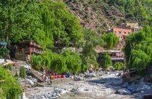 Private Ourika valley and Atlas Mountains day trip from Marrakech