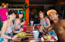 PaddleBoard Private Tour in Laguna With Photos