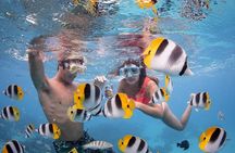Bora Bora Jet Ski Tour, & Eco Shark / Ray Snorkel Cruise