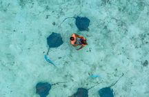 Bora Bora Jet Ski Tour, & Eco Shark / Ray Snorkel Cruise