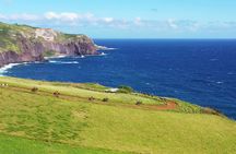 Maui Horseback Adventure at Circle M Ranch With Real Cowboys