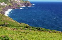 Maui Horseback Adventure at Circle M Ranch With Real Cowboys