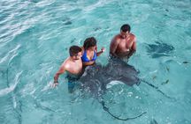 Bora Bora Eco Snorkel Cruise Including Snorkeling with Sharks and Stingrays