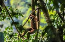 ONE DAY JUNGLE TREKKING 6-7 hours (see orang utan) + RAFTING in BUKIT LAWANG