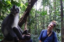 ONE DAY JUNGLE TREKKING 6-7 hours (see orang utan) + RAFTING in BUKIT LAWANG