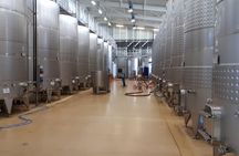 Tierras de Armenia Wine Tour
