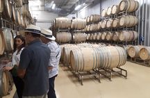 Tierras de Armenia Wine Tour
