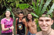 TOUR PACKAGE (Taxi, Room, Jungle Trekking) 3 Days in BUKIT LAWANG