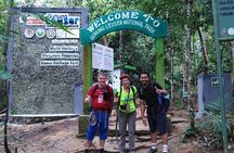 TOUR PACKAGE (Taxi, Room, Jungle Trekking) 3 Days in BUKIT LAWANG
