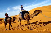 Morning Camel Trekking with Dune Bashing and Sand Boarding
