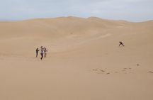 4 hours.Agadir : Trip to Sahara and tifnit fishing village 