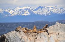 Navigation in the Beagle Channel with minitrekking USHUAIA