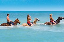 Half Day Beach Horseback Riding in Ocho Rios + Lunch