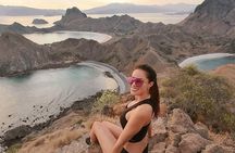 One Day Komodo Trip (Sailing)