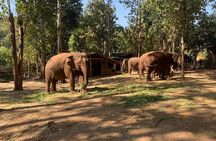 Elephant Sightings , Bamboo Rafting Through The Jungle, Swimming In a Waterfall
