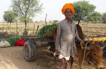 12 Days Heritage of Royal Rajasthan Tour with Golden Tringle