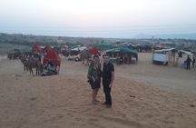 12 Days Heritage of Royal Rajasthan Tour with Golden Tringle