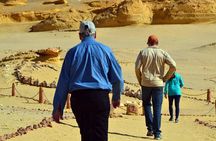 Full-Day Fayoum Oasis Private Tour from Cairo or Giza