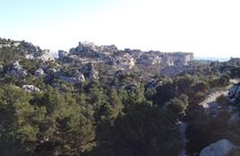 Half-Day Van Gogh Tour of Provence from Avignon